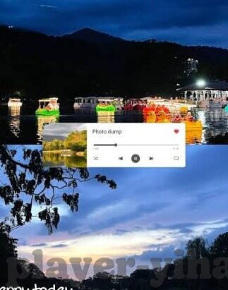 南非世界杯比赛结果-南非世界杯比赛结果，一场足球盛宴的巅峰对决